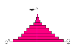piramida penduduk